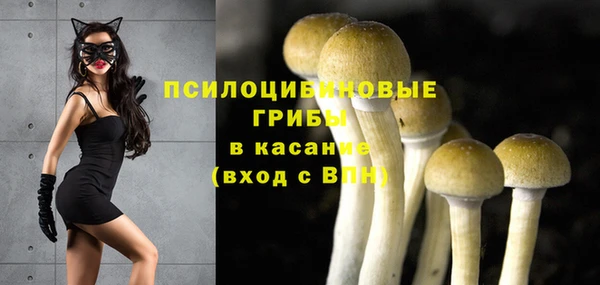 прущие крисы Алексин