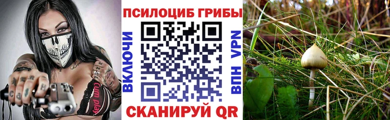 Псилоцибиновые грибы GOLDEN TEACHER  даркнет сайт  Калтан 